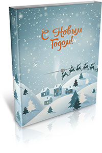С Новым годом 2017!