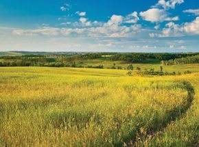 Подарочный сертификат в клуб Солярис