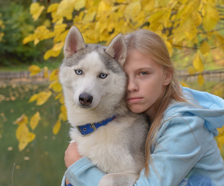 

В гостях у хаски для двоих